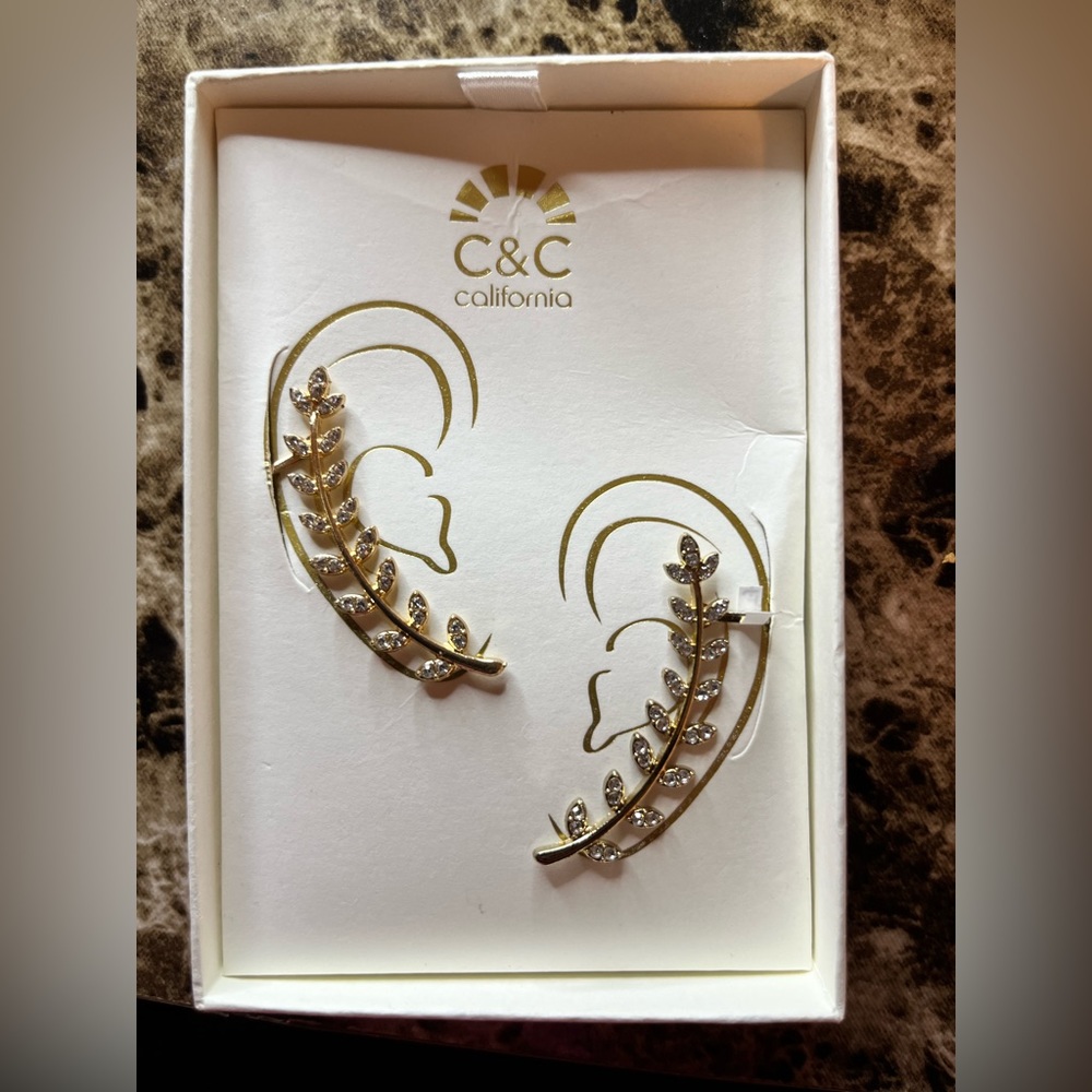 Earring climber . Only need bottom lobe ear pierced